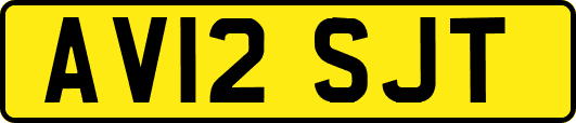 AV12SJT