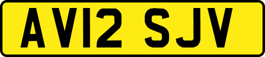 AV12SJV