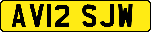 AV12SJW
