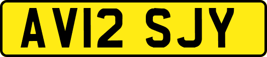 AV12SJY
