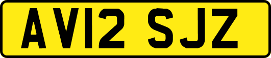 AV12SJZ