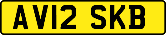 AV12SKB