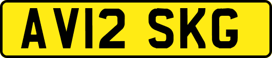 AV12SKG