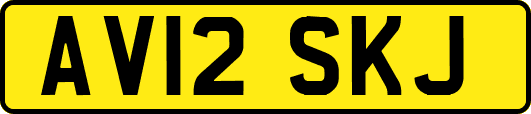 AV12SKJ