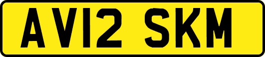 AV12SKM