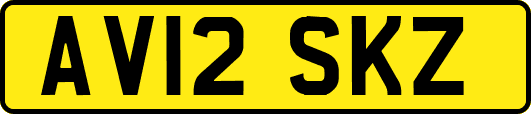 AV12SKZ