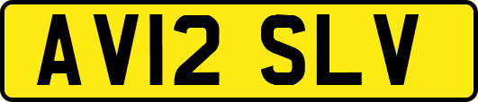 AV12SLV