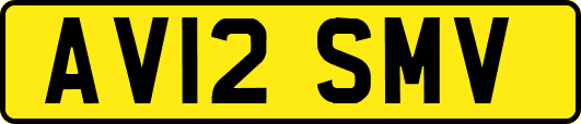 AV12SMV