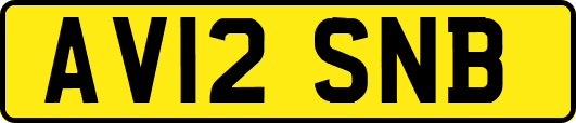 AV12SNB