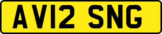 AV12SNG