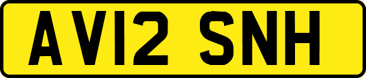 AV12SNH