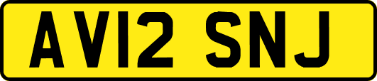 AV12SNJ
