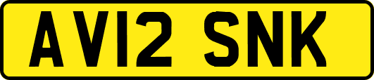 AV12SNK