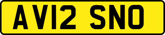AV12SNO