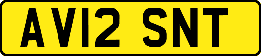 AV12SNT