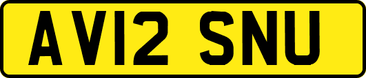 AV12SNU