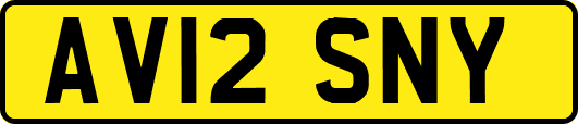 AV12SNY
