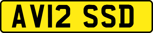 AV12SSD