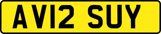 AV12SUY