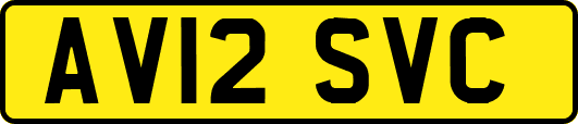 AV12SVC