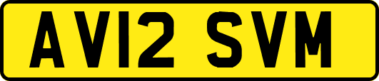 AV12SVM