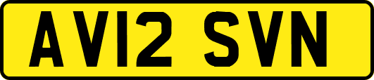 AV12SVN