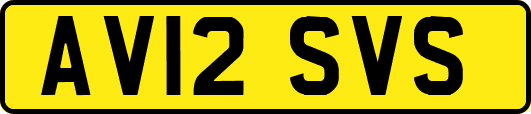 AV12SVS
