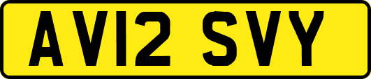 AV12SVY