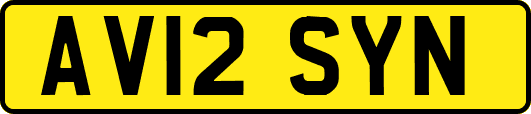 AV12SYN