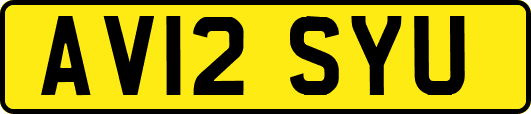 AV12SYU