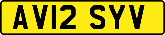 AV12SYV