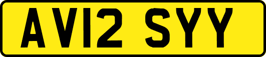 AV12SYY