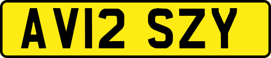 AV12SZY