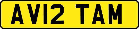 AV12TAM