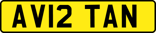 AV12TAN