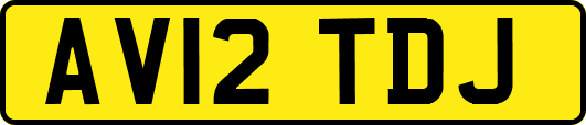 AV12TDJ