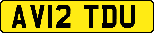 AV12TDU