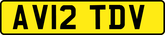 AV12TDV