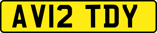 AV12TDY