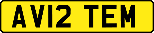 AV12TEM