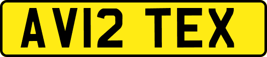 AV12TEX