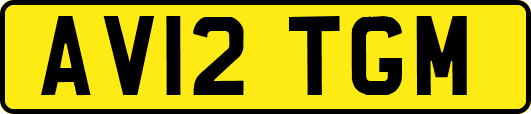 AV12TGM