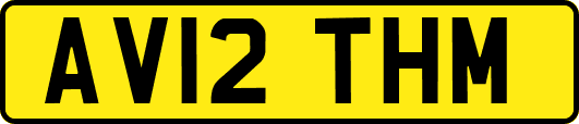 AV12THM