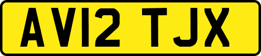 AV12TJX