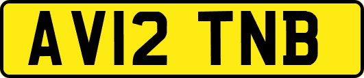 AV12TNB