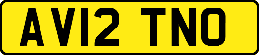 AV12TNO