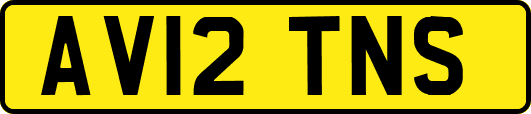 AV12TNS