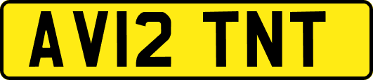 AV12TNT