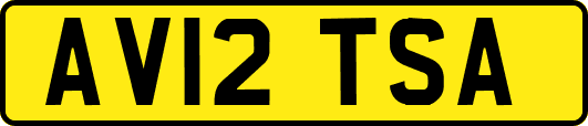 AV12TSA