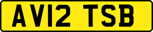 AV12TSB
